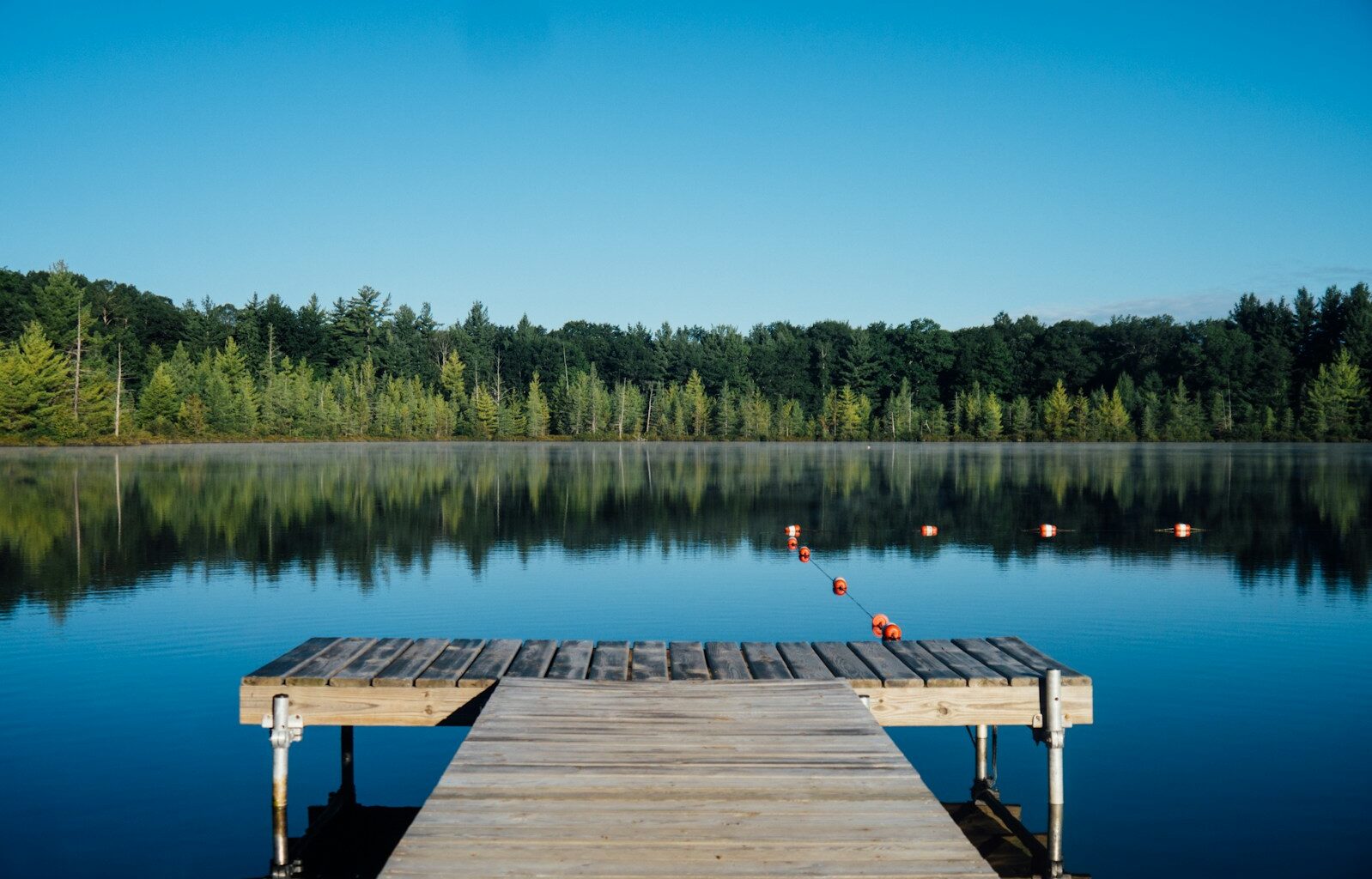 brown wooden dock near calm body of water surrounded by trees
